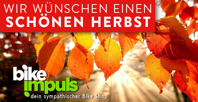 Mail-Newsletter-Herbst-2023-unten